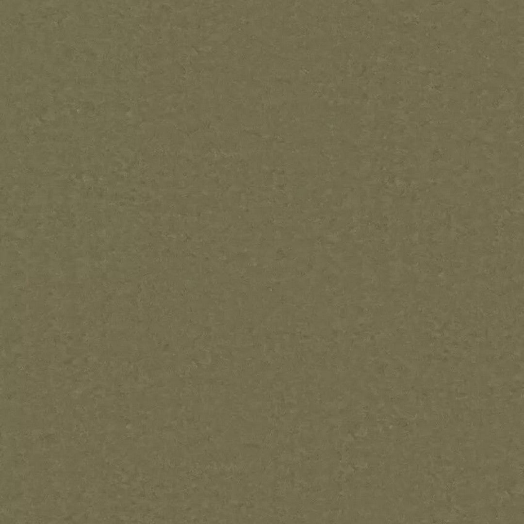 Tarkett 6'6" x RL LinoFloor xf2 Veneto Linoleum Sheet