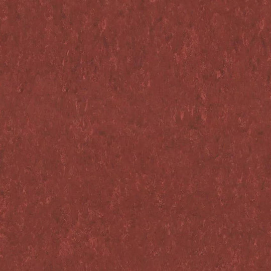 Tarkett 6'6" x RL LinoFloor xf2 Veneto Linoleum Sheet