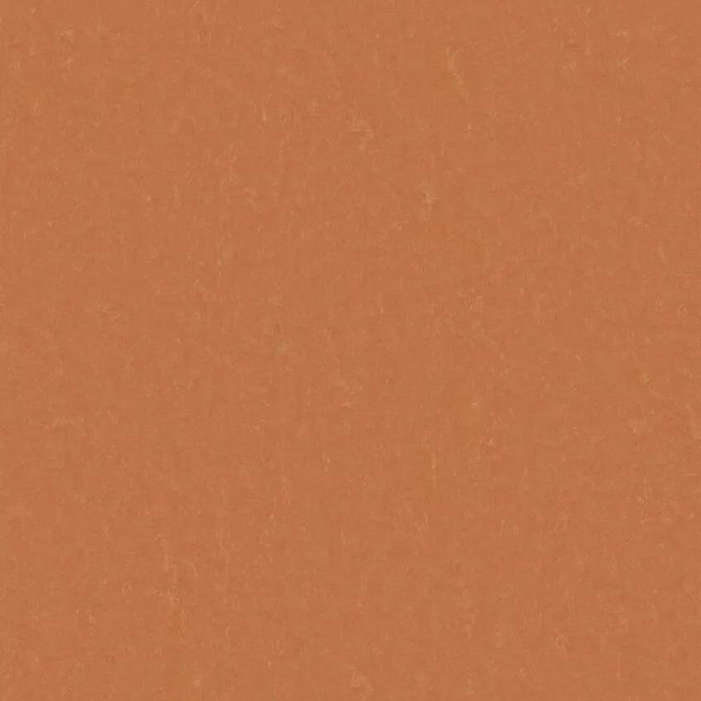 Tarkett 6'6" x RL LinoFloor xf2 Emme Linoleum Sheet