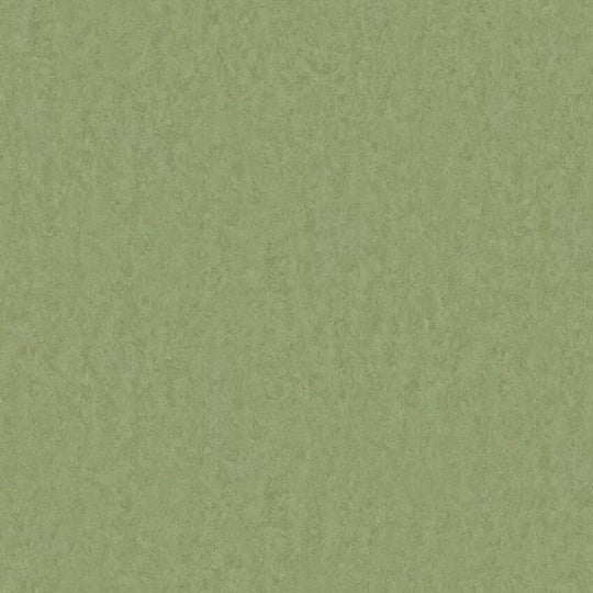 Tarkett 6'6" x RL LinoFloor xf2 Emme Linoleum Sheet