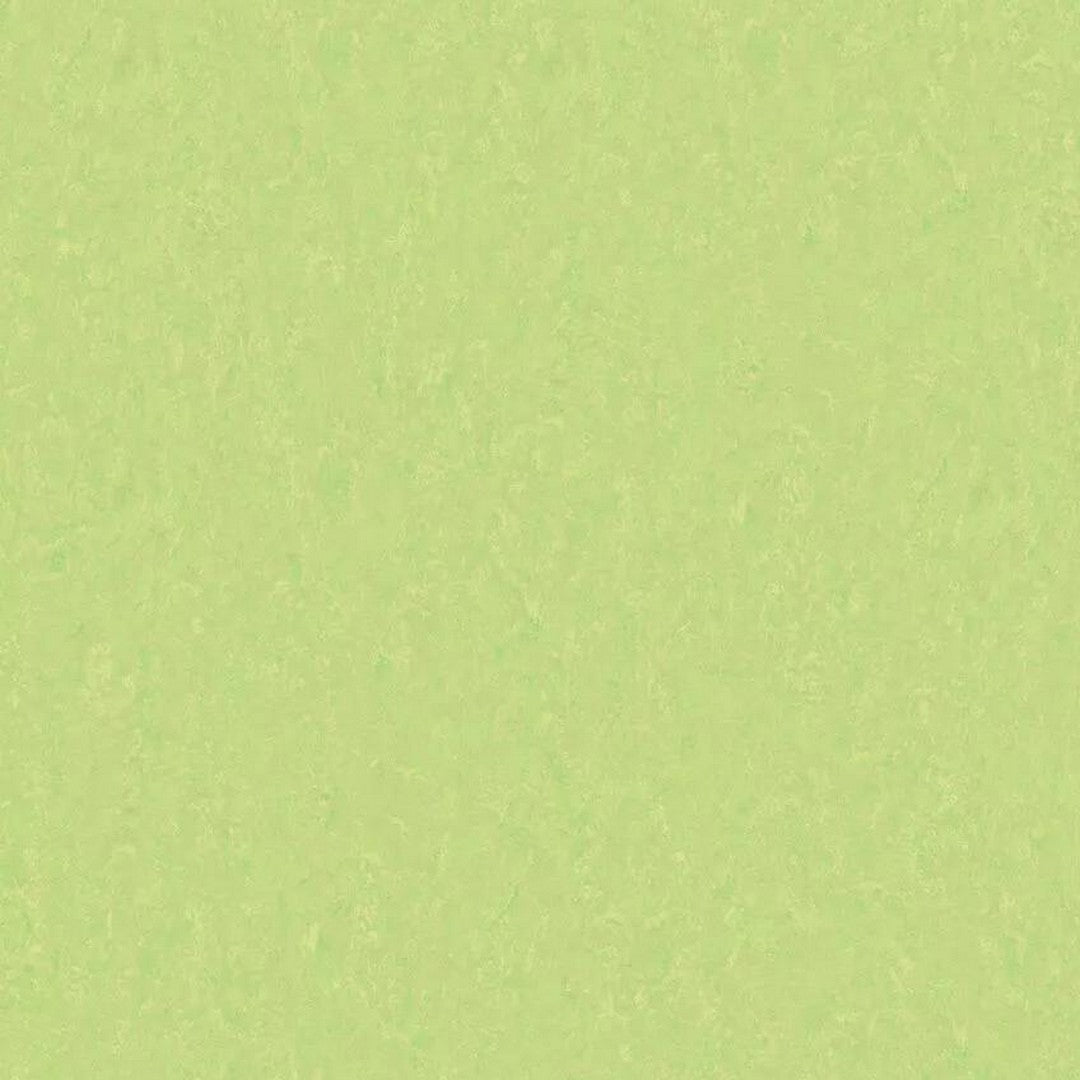 Tarkett 6'6" x RL LinoFloor xf2 Emme Linoleum Sheet