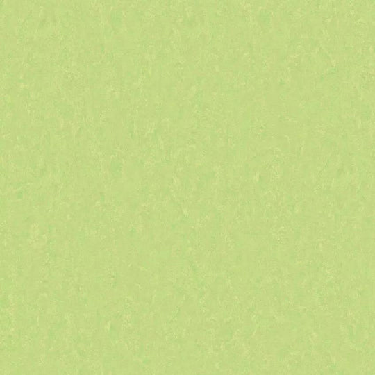 Tarkett 6'6" x RL LinoFloor xf2 Emme Linoleum Sheet