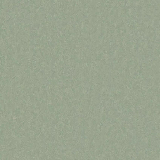 Tarkett 6'6" x RL LinoFloor xf2 Emme Linoleum Sheet