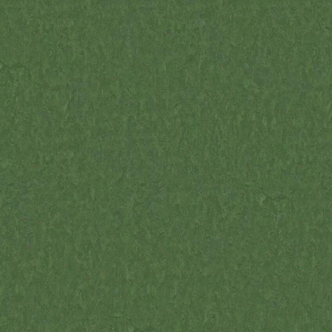 Tarkett 6'6" x RL LinoFloor xf2 Emme Linoleum Sheet