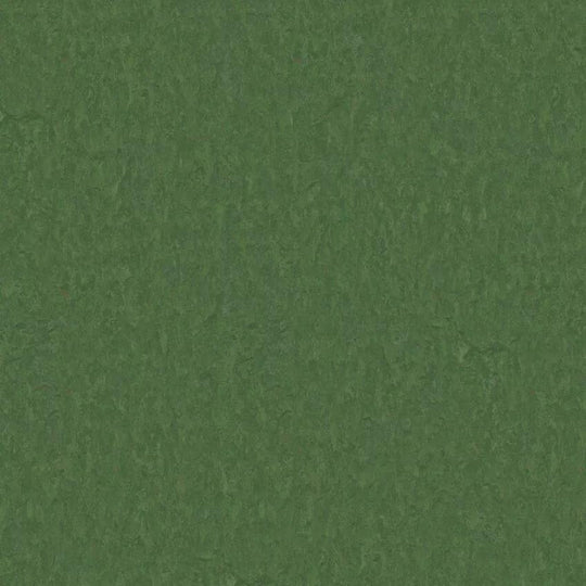 Tarkett 6'6" x RL LinoFloor xf2 Emme Linoleum Sheet