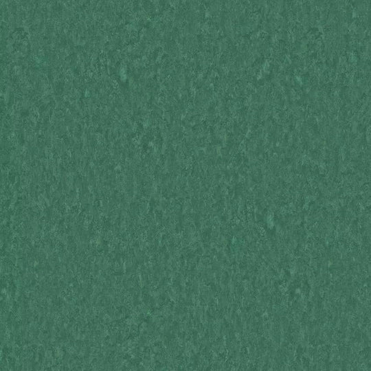 Tarkett 6'6" x RL LinoFloor xf2 Emme Linoleum Sheet