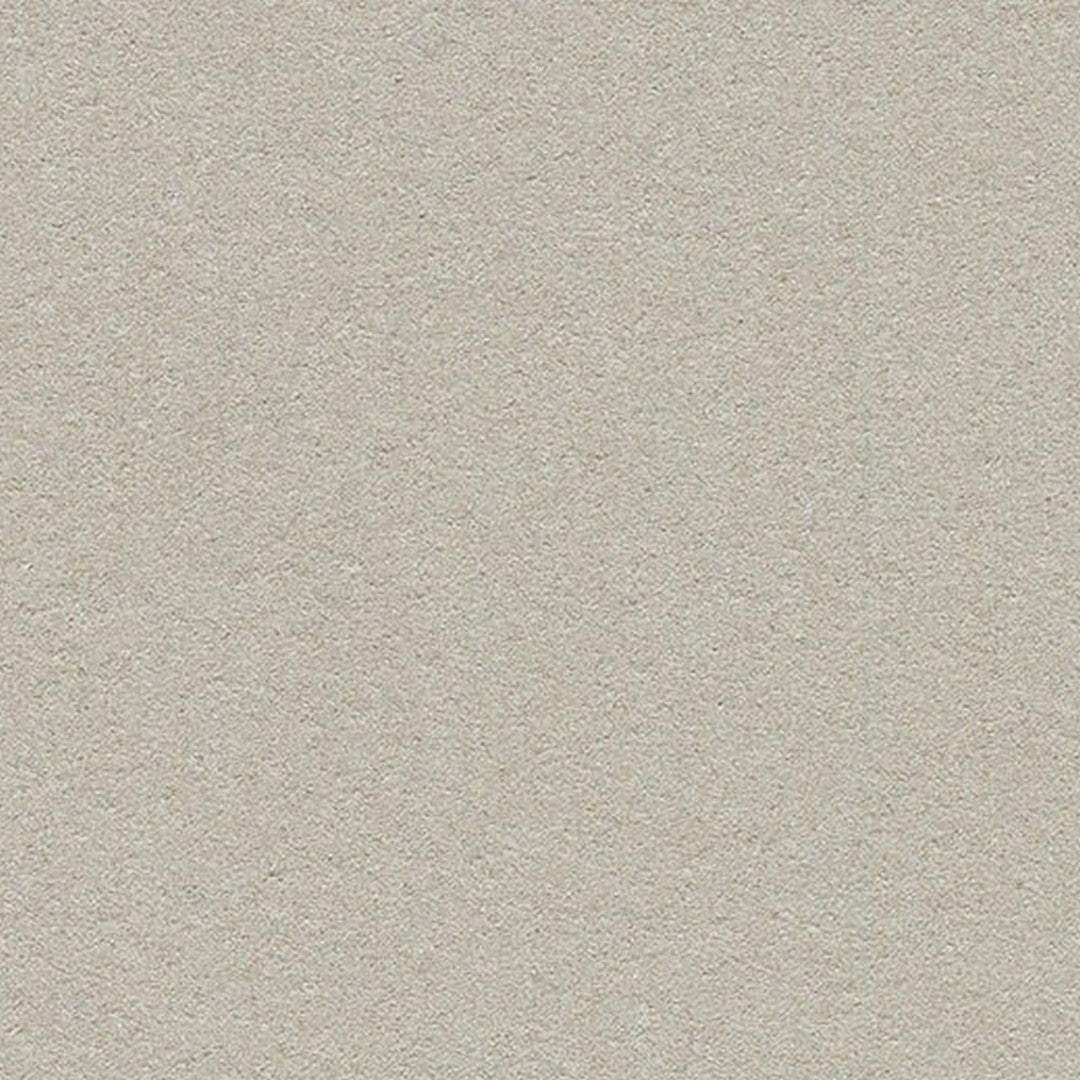 Forbo Marmoleum Bulletin Board 4' x 90' Smooth Cork Sheet