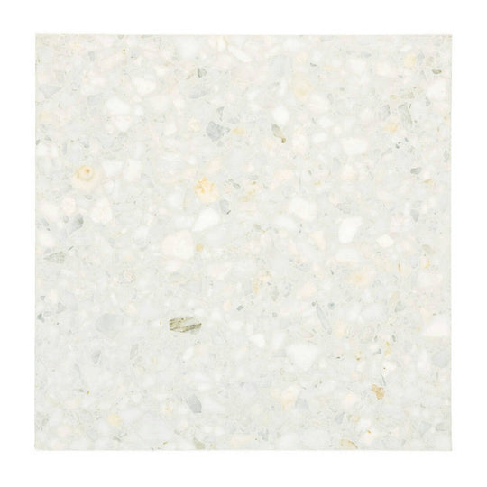 Alfagres 16" x 16" Classic Polished Terrazzo Tile