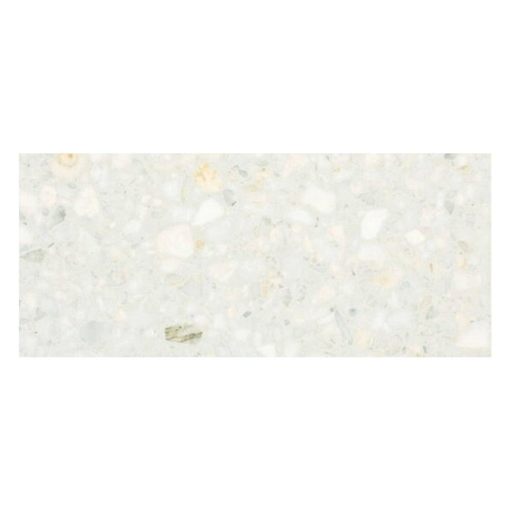 Alfagres 12" x 24" Classic Polished Terrazzo Tile
