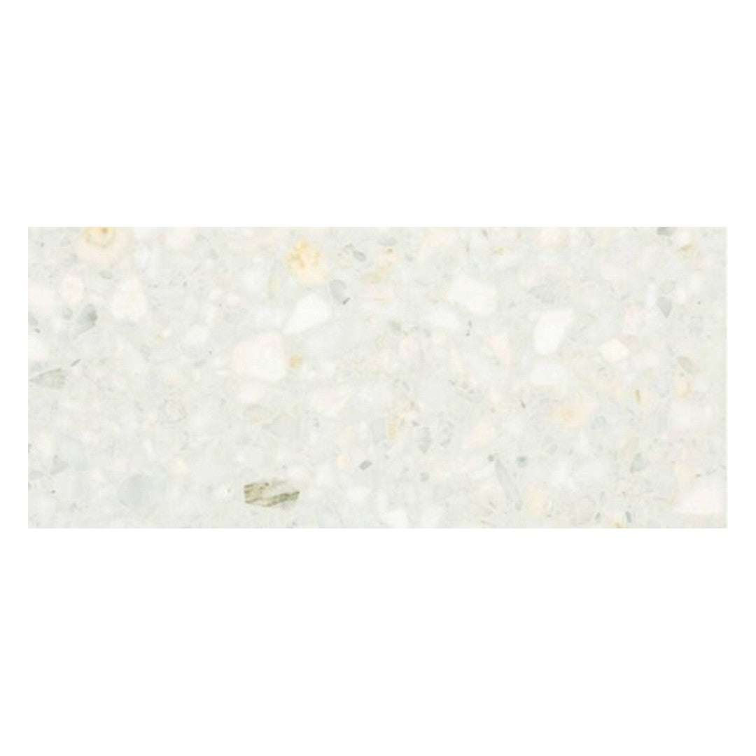 Alfagres 12" x 24" Classic Polished Terrazzo Tile