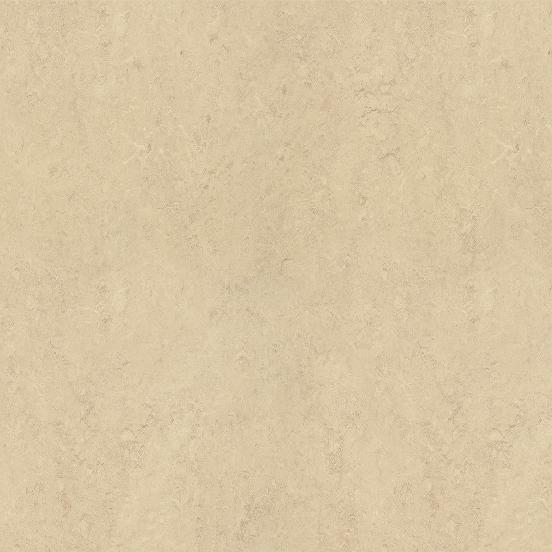 Forbo Marmoleum Real Smooth Vinyl Sheet 6.5' x 105'