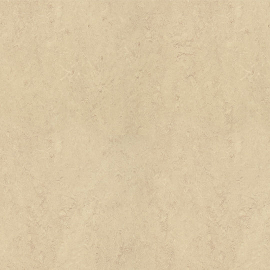 Forbo Marmoleum Real Smooth Vinyl Sheet 6.5' x 105'