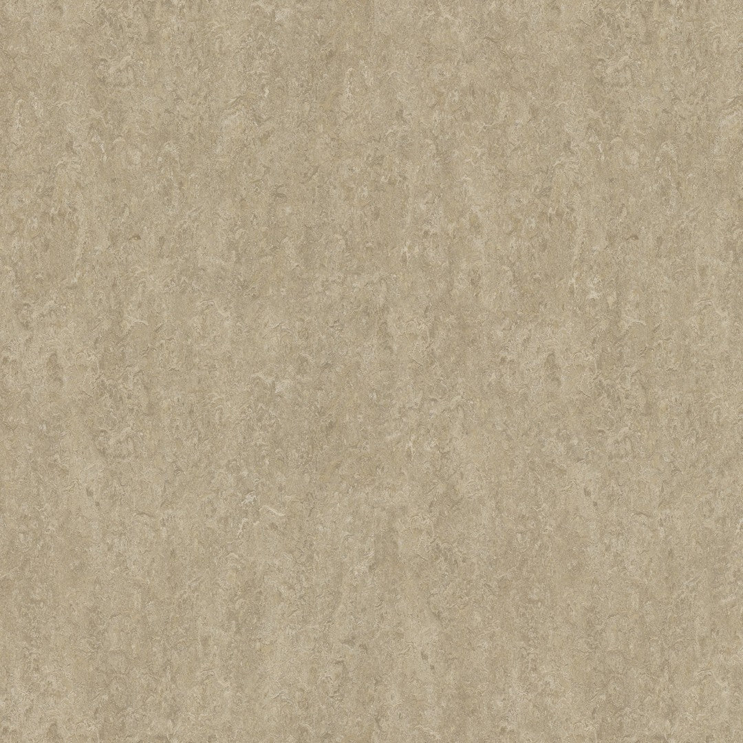 Forbo Marmoleum Real Smooth Vinyl Sheet 6.5' x 105'