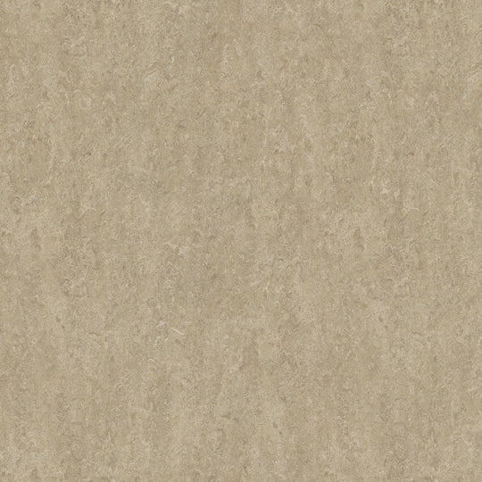 Forbo Marmoleum Real Smooth Vinyl Sheet 6.5' x 105'