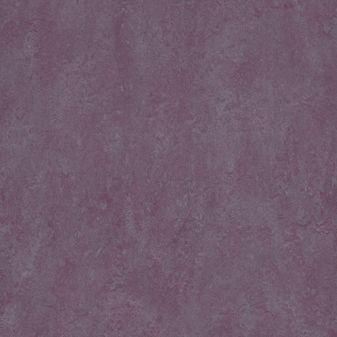 Forbo Marmoleum Real Smooth Vinyl Sheet 6.5' x 105'