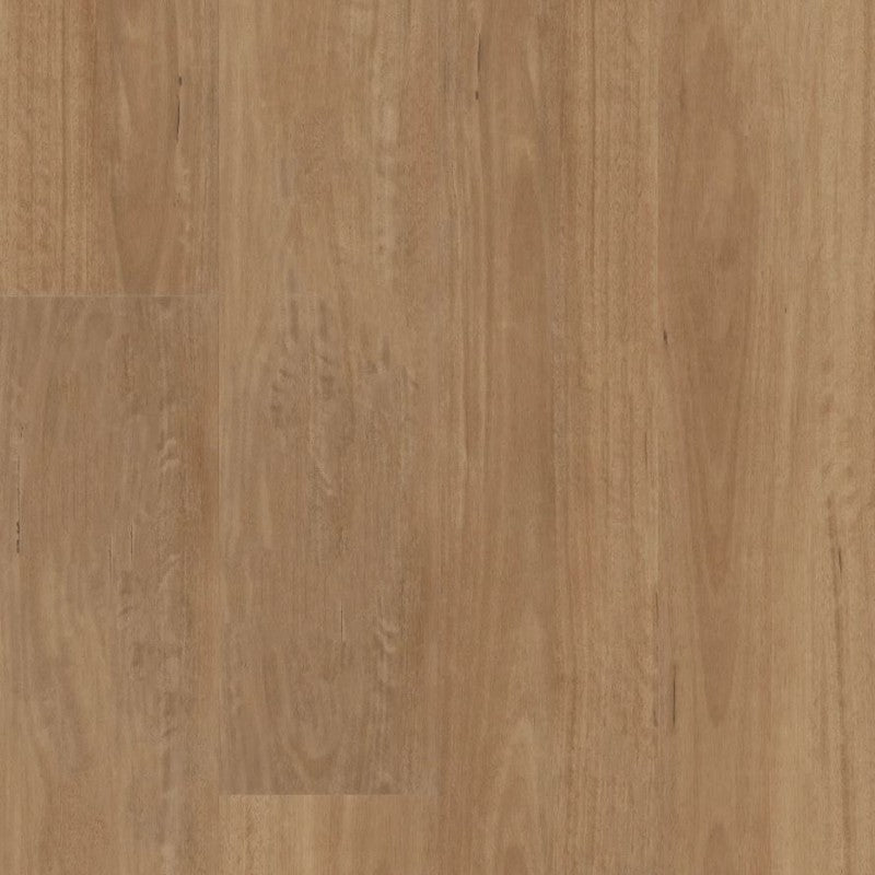 Shaw Floors 9" x 60" Aspire Natural Bevel WPC Vinyl Plank 20 Mil