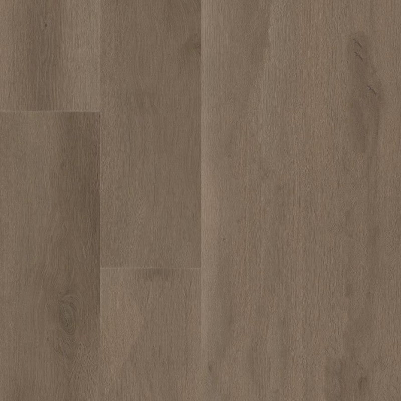 Shaw Floors 9" x 60" Aspire Natural Bevel WPC Vinyl Plank 20 Mil