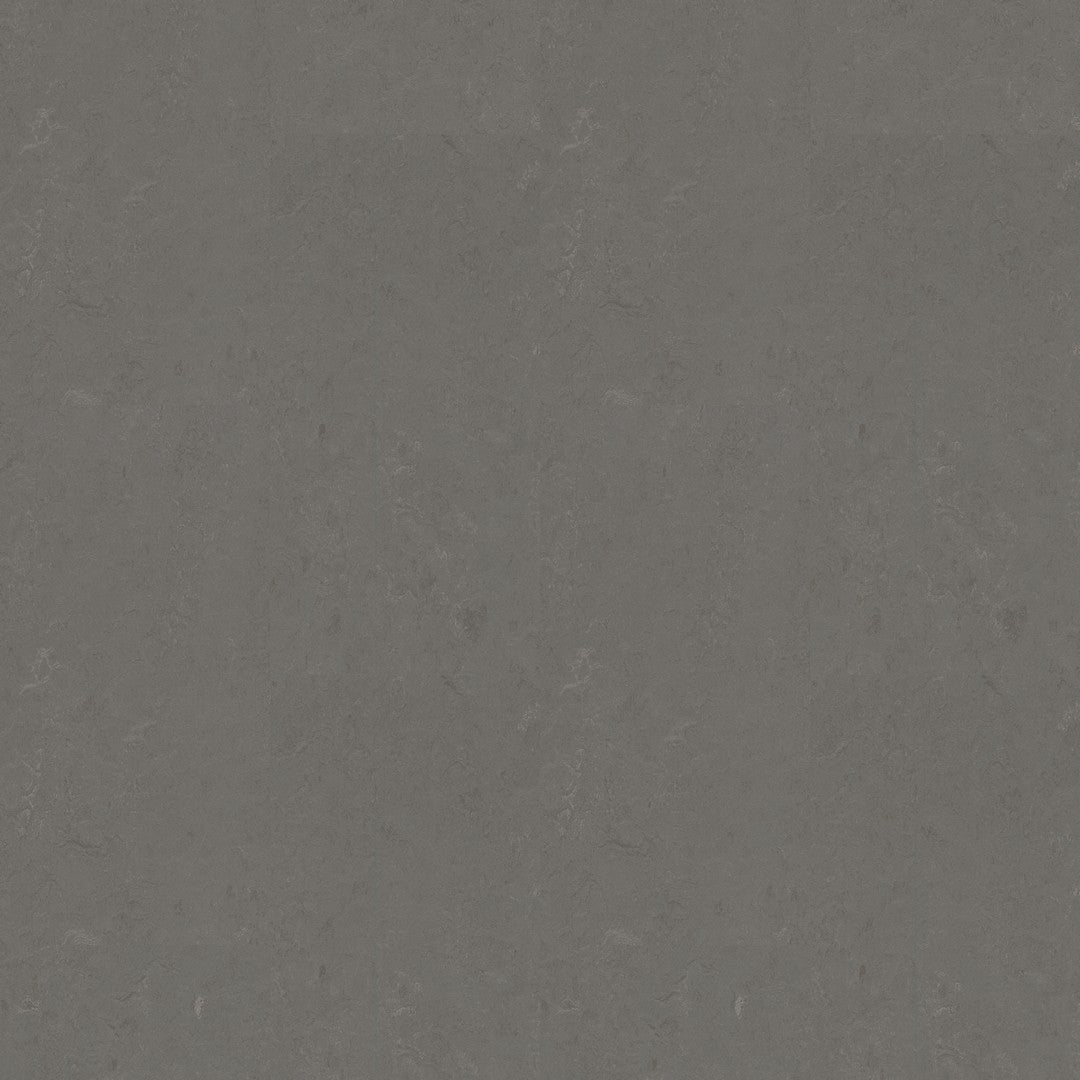 Forbo Marmoleum Concrete Smooth Vinyl Sheet 6.5' x 105'