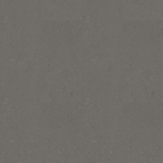 Forbo Marmoleum Concrete Smooth Vinyl Sheet 6.5' x 105'