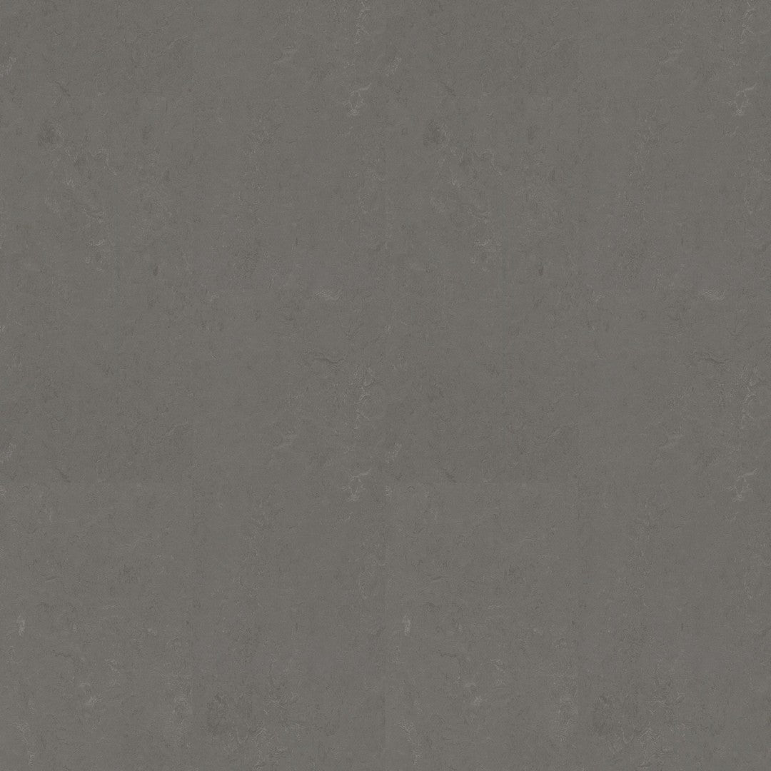 Forbo Marmoleum Decibel 6.5' x 105' Smooth Vinyl Sheet