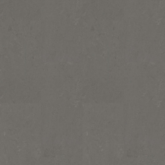 Forbo Marmoleum Decibel 6.5' x 105' Smooth Vinyl Sheet