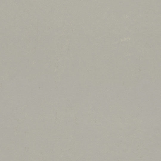 Forbo Marmoleum Concrete Smooth Vinyl Sheet 6.5' x 105'