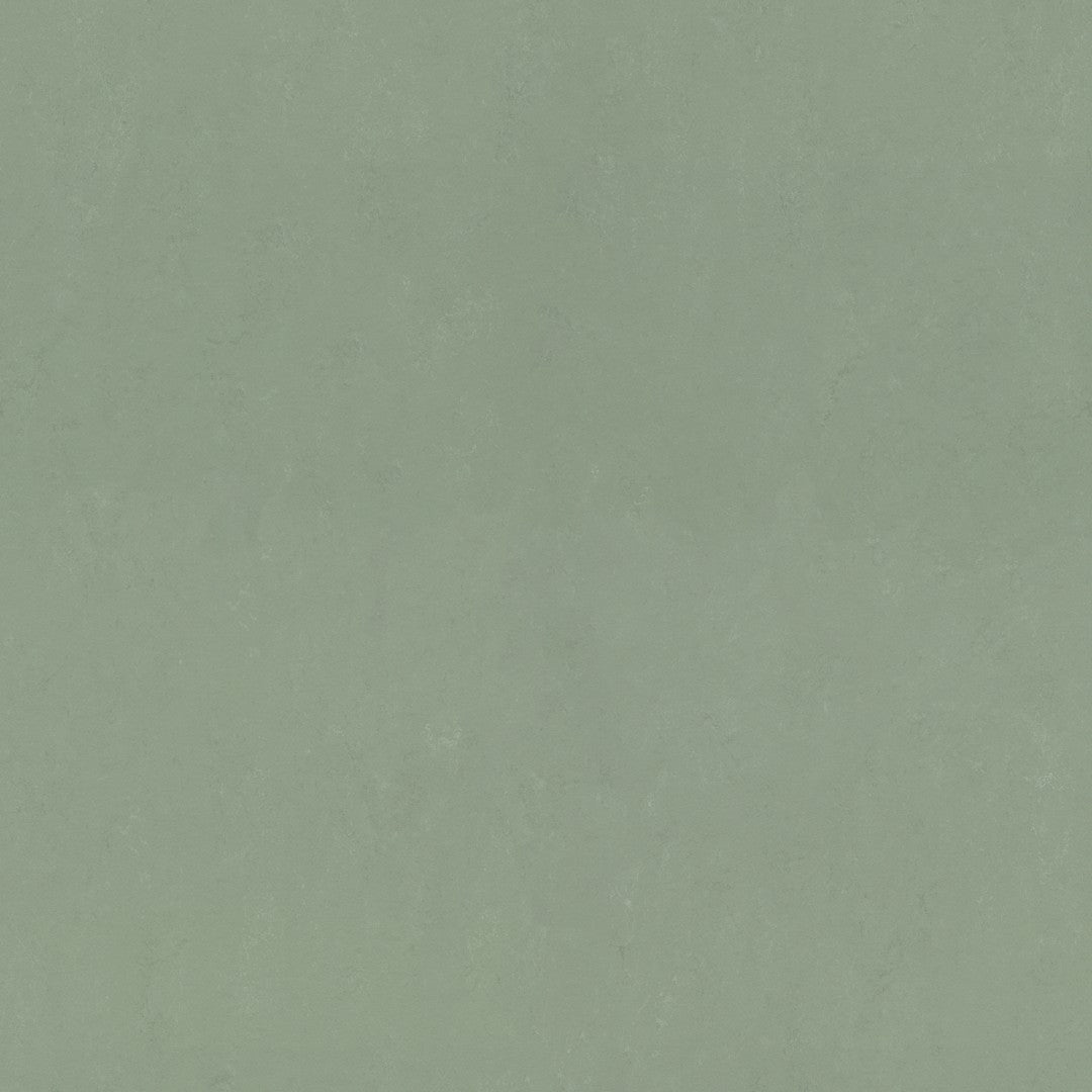 Forbo Marmoleum Concrete Smooth Vinyl Sheet 6.5' x 105'