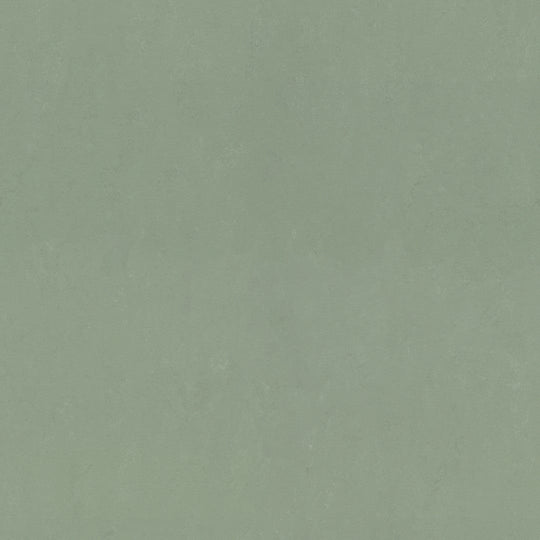 Forbo Marmoleum Concrete Smooth Vinyl Sheet 6.5' x 105'