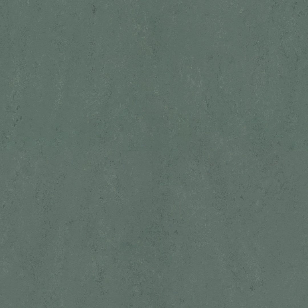 Forbo Marmoleum Concrete Smooth Vinyl Sheet 6.5' x 105'