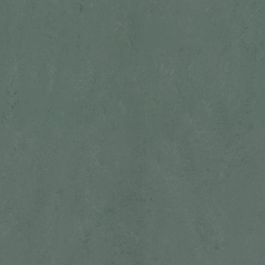 Forbo Marmoleum Concrete Smooth Vinyl Sheet 6.5' x 105'