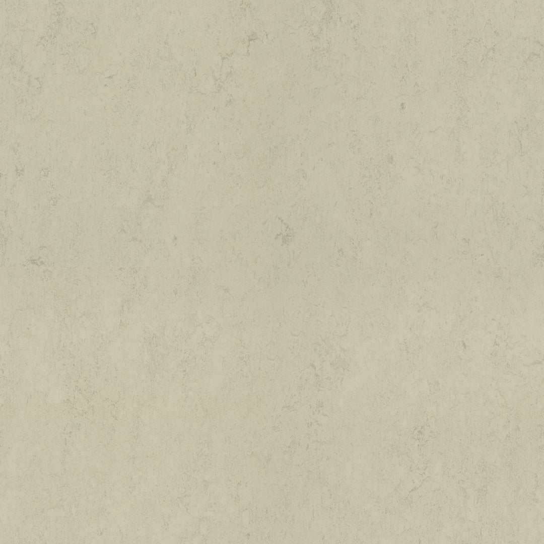 Forbo Marmoleum Concrete Smooth Vinyl Sheet 6.5' x 105'