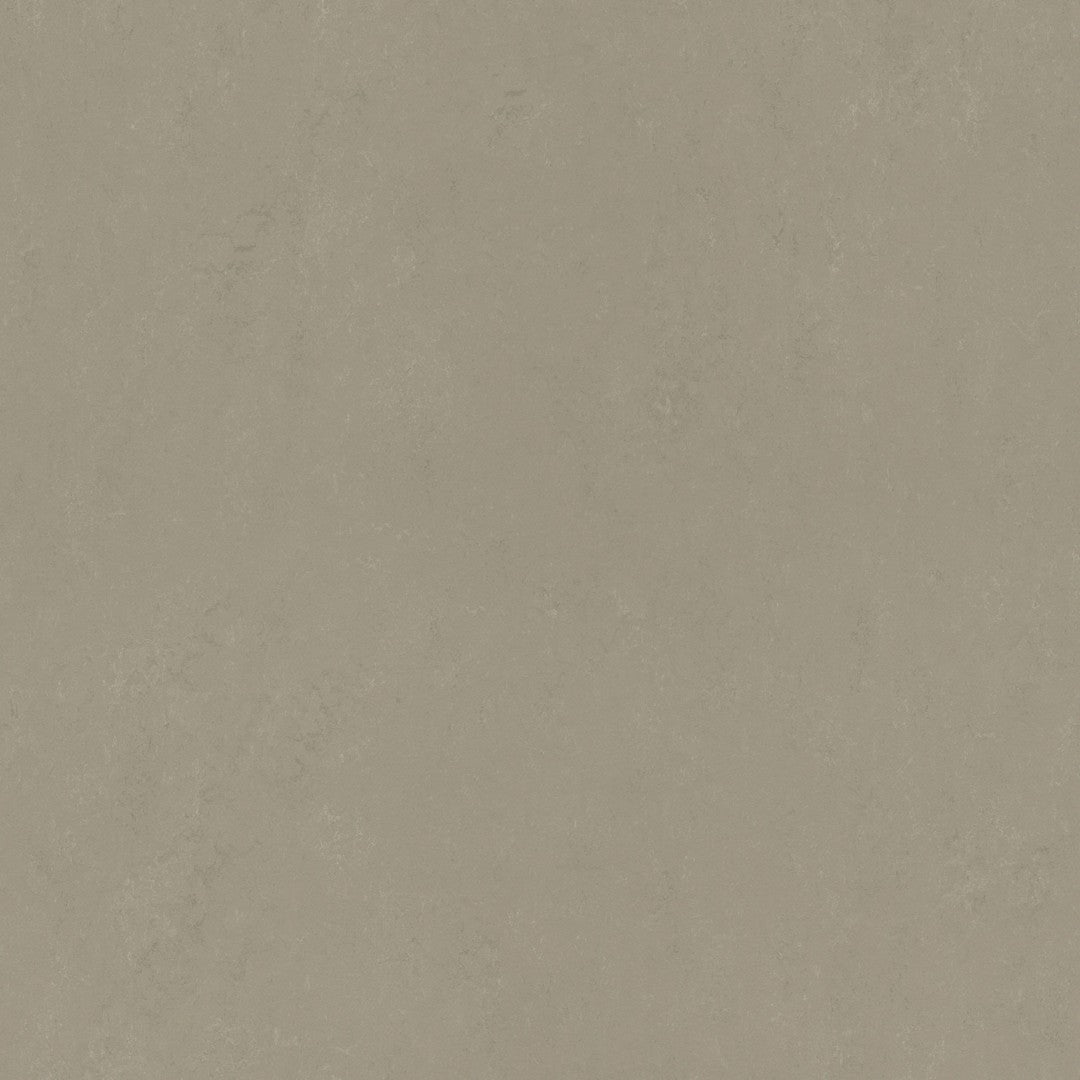 Forbo Marmoleum Concrete Smooth Vinyl Sheet 6.5' x 105'