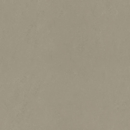 Forbo Marmoleum Concrete Smooth Vinyl Sheet 6.5' x 105'