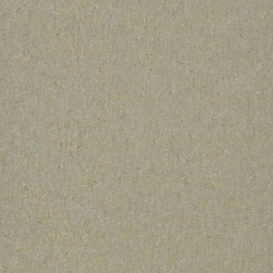 Forbo Marmoleum Terra Smooth Vinyl Sheet 6.5' x 105'