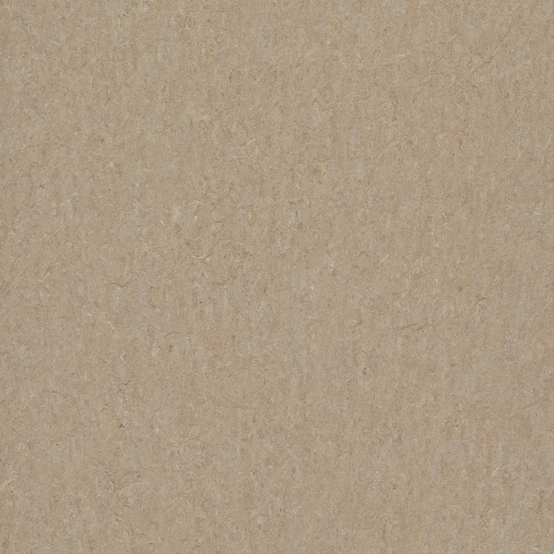 Forbo Marmoleum Terra Smooth Vinyl Sheet 6.5' x 105'