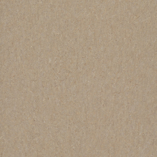 Forbo Marmoleum Terra Smooth Vinyl Sheet 6.5' x 105'