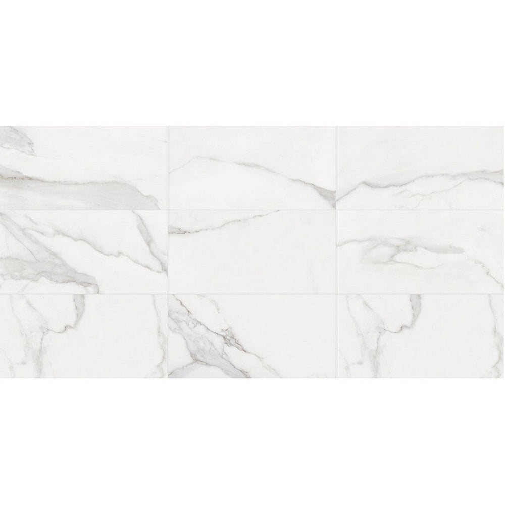 Landmark Ceramics 12" x 24" Tuscany Matte Porcelain Tile