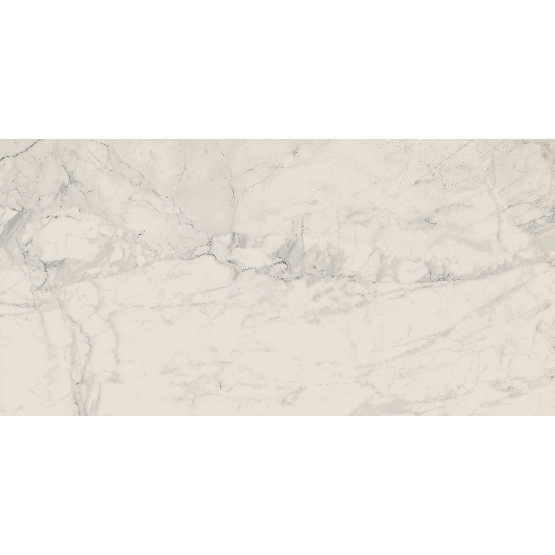 Landmark Ceramics 24" x 48" Charme Rectified Matte Porcelain Tile