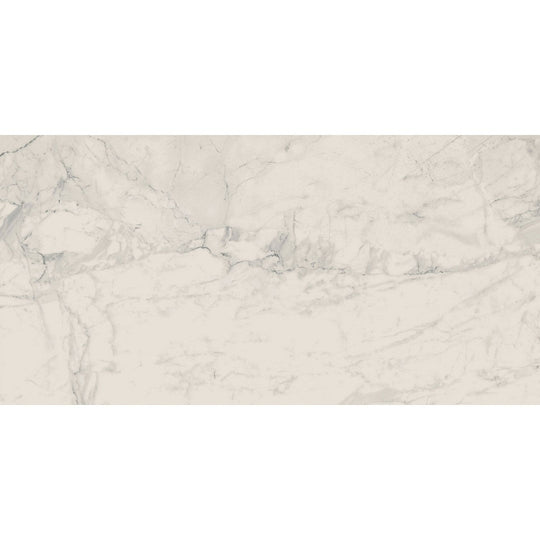 Landmark Ceramics 24" x 48" Charme Rectified Matte Porcelain Tile