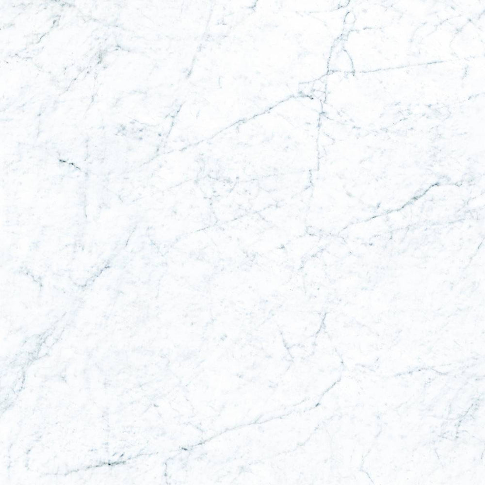 Landmark Ceramics 24" x 24" Frontier20 Marble Rectified Matte Porcelain Paver