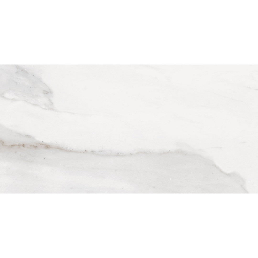 Landmark Ceramics 24" x 48" Tuscany Rectified Matte Porcelain Tile
