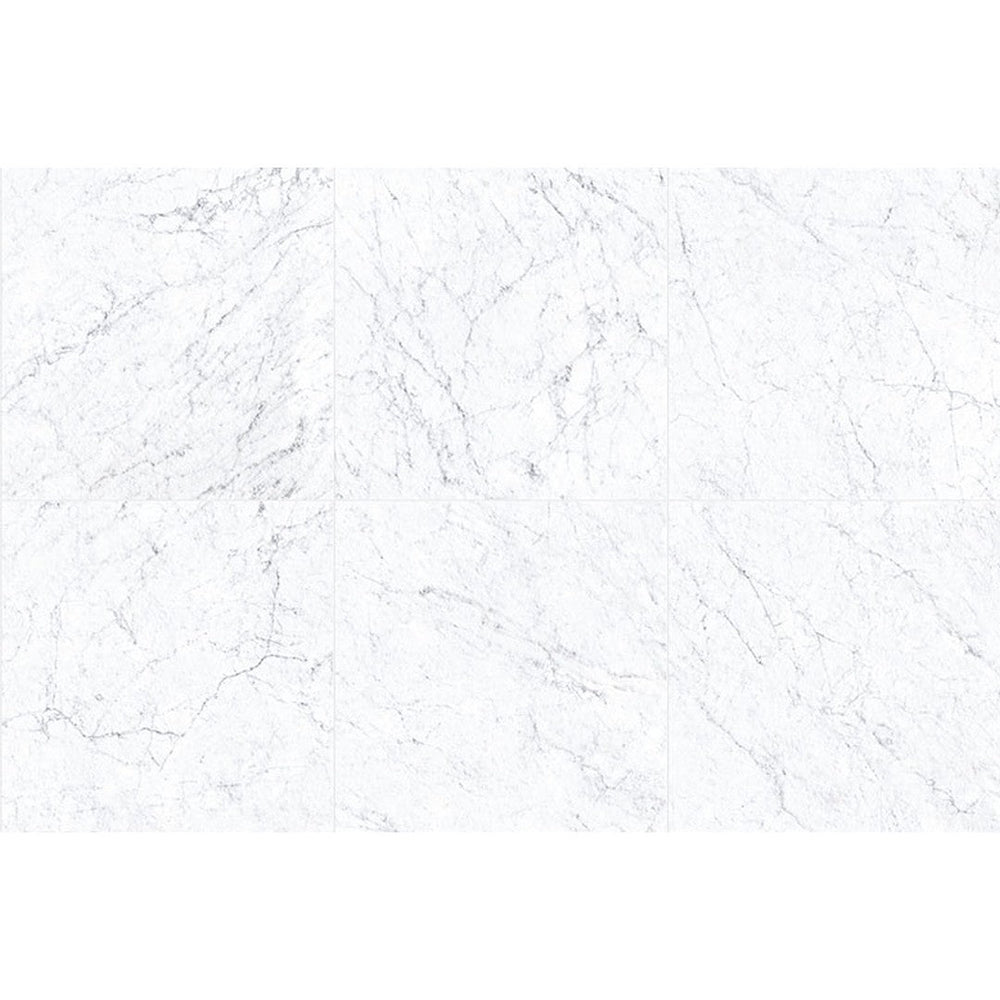 Landmark Ceramics 12" x 12" Frontier20 Marble Rectified Matte Porcelain Paver