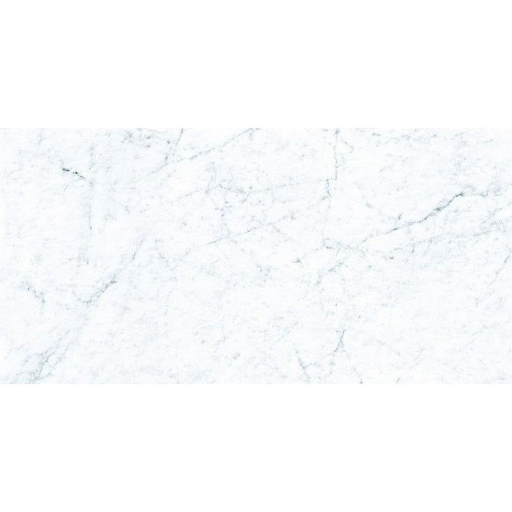 Landmark Ceramics 24" x 48" Frontier20 Marble Rectified Matte Porcelain Paver