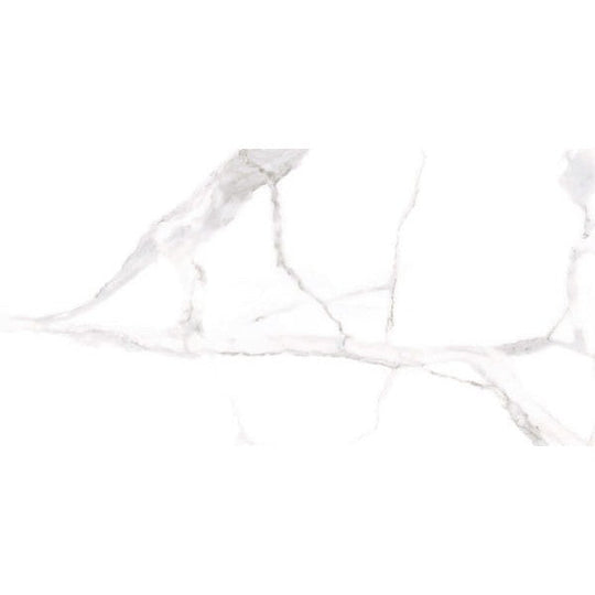 Happy Floors 24" x 48" Alsacia 2.0 Rectified Matte Porcelain Tile