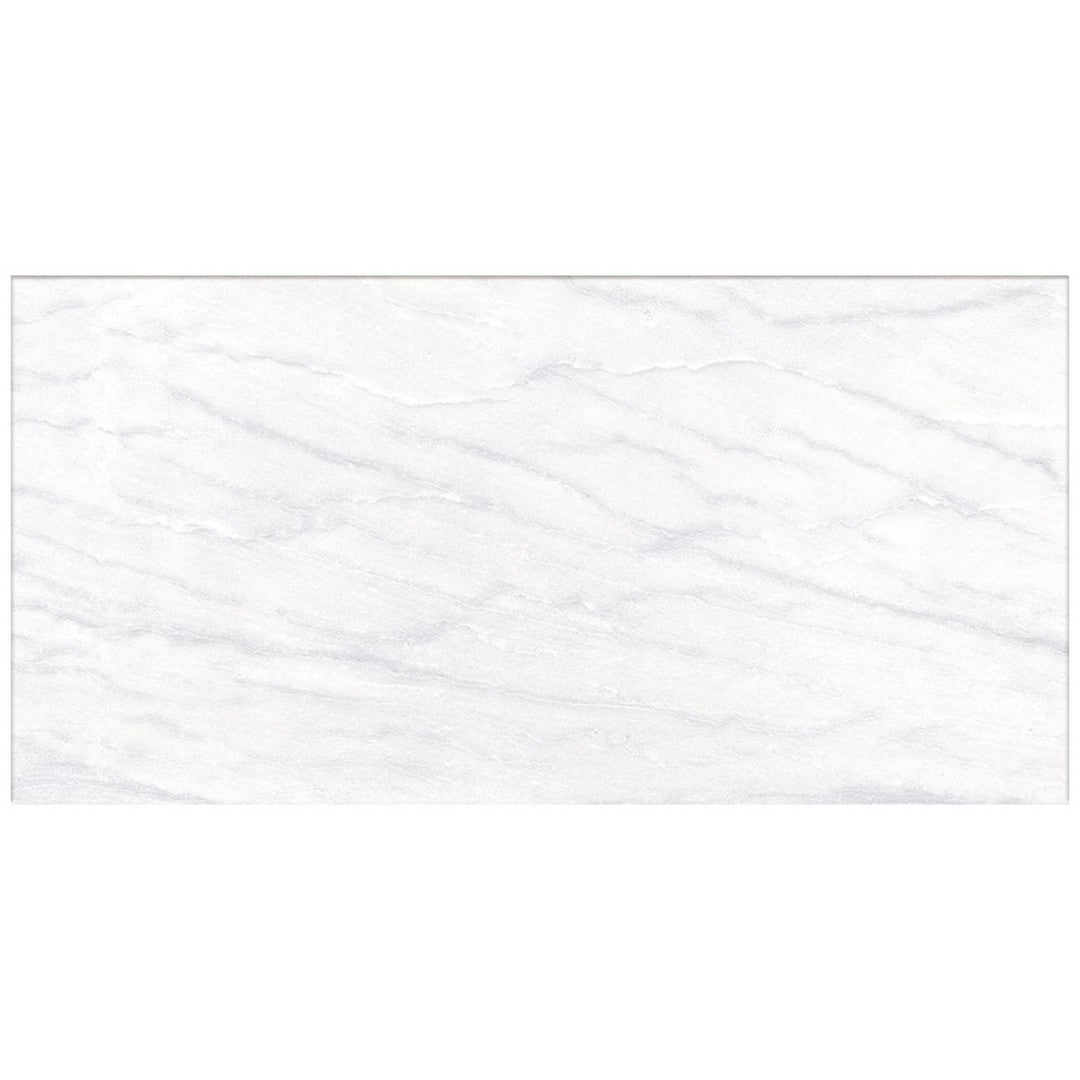 Happy Floors 24" x 48" Macaubas Rectified Polished Porcelain Tile