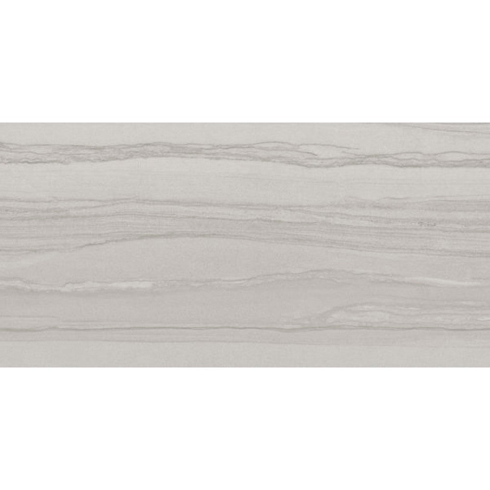 Happy Floors 24" x 48" Silver Rectified Natural Porcelain Tile (Sale)