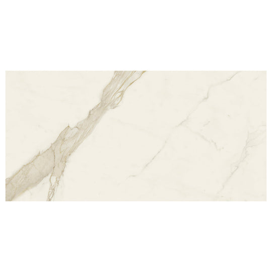 Del Conca USA 24" x 48" Nature Glazed Rectified Porcelain Tile