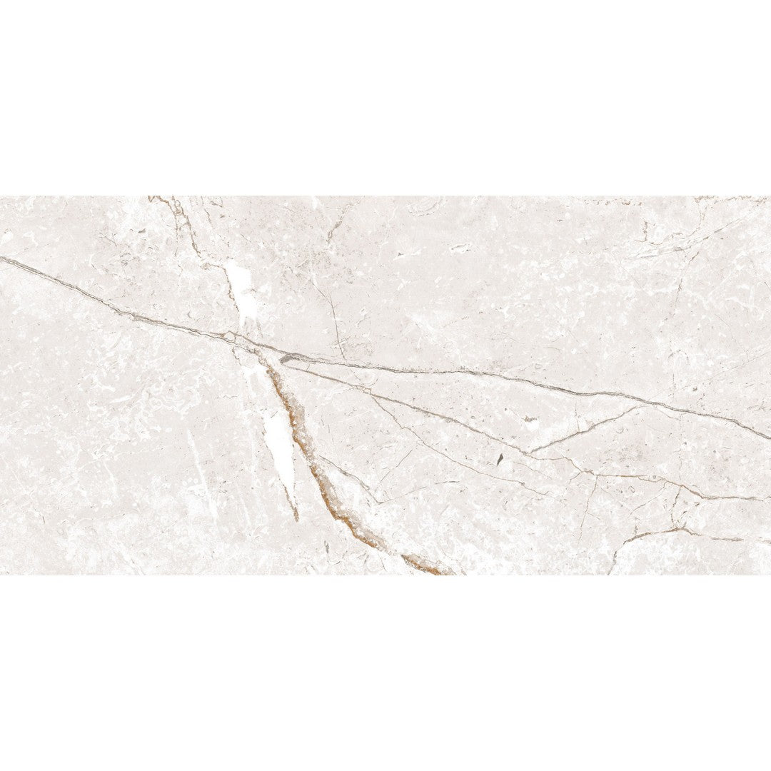 Happy Floors 24" x 48" Toscana Rectified Matte Porcelain Tile