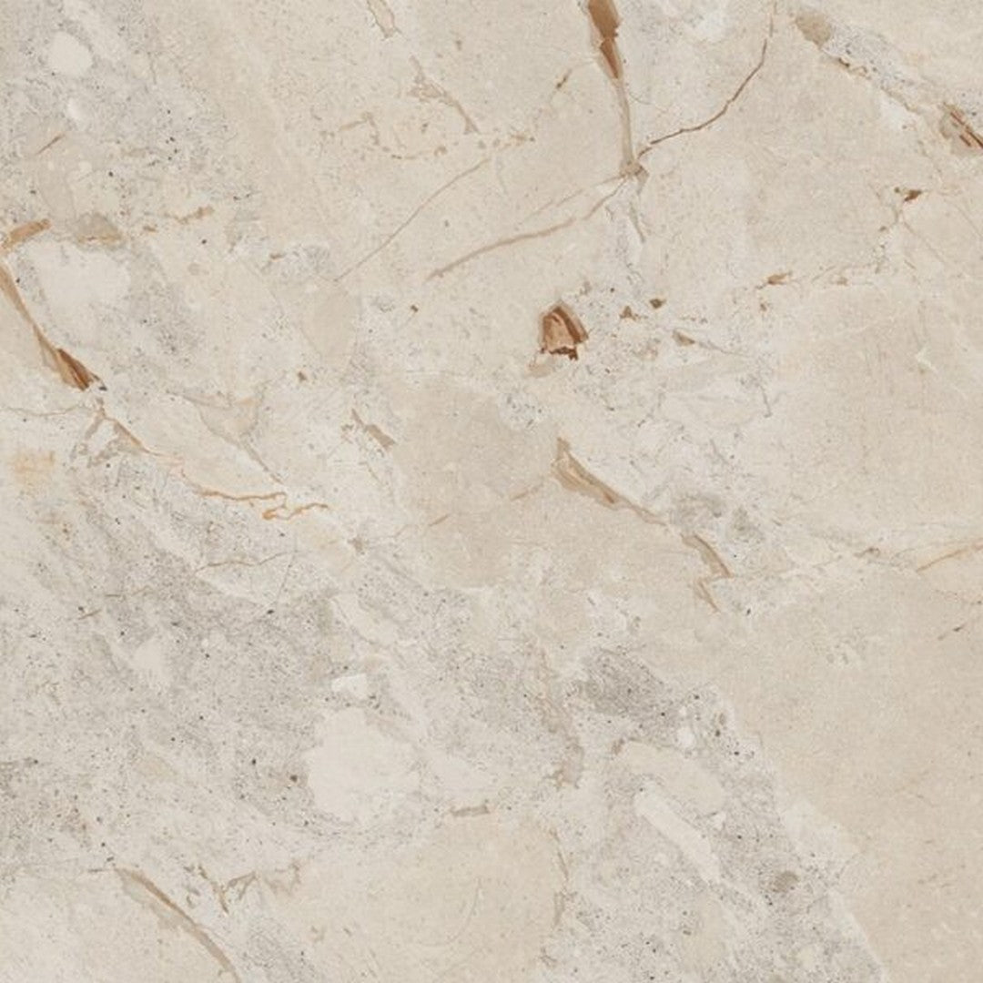 Happy Floors 24" x 24" Eva Polished Rectified Porcelain Tile