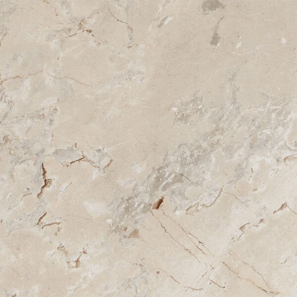 Happy Floors 48" x 48" Eva Polished Rectified Porcelain Tile